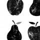 DO KUCHNI | gruszki | jabłka - A4