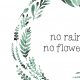 Plakat no rain.no flowers A3(...)- A3