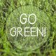 Plakat 50x70 cm - Go green!