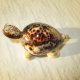 Żółw z muszli
