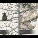Obraz na płótnie - PORTRET DRZEWO GAŁĘZIE - 120x80 cm (67701)