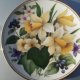 EDWARDIAN Flowers porcelanowy talerz -dekoracyjny, użytkowy  wiosenny