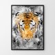 Plakat tygrys 50x70 cm B2