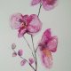 Orchidea-obraz akwarela