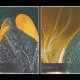 Obraz na płótnie - KWIATY GLAMOUR ORCHIDEA ZIELONY CZARNY ZŁOTY - 120x80 cm (100501)