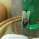 Botaniczna zakładka ręcznie malowana z tulipanem