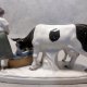 Grafenthal Kobieta karmiąca krowy Turyngia