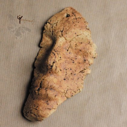 fragment w piegi
