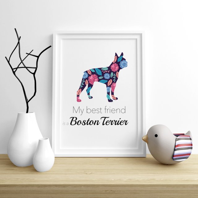 Plakat Boston Terrier Flowers