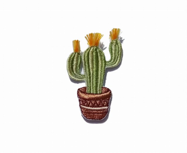 Naszywka Cactus