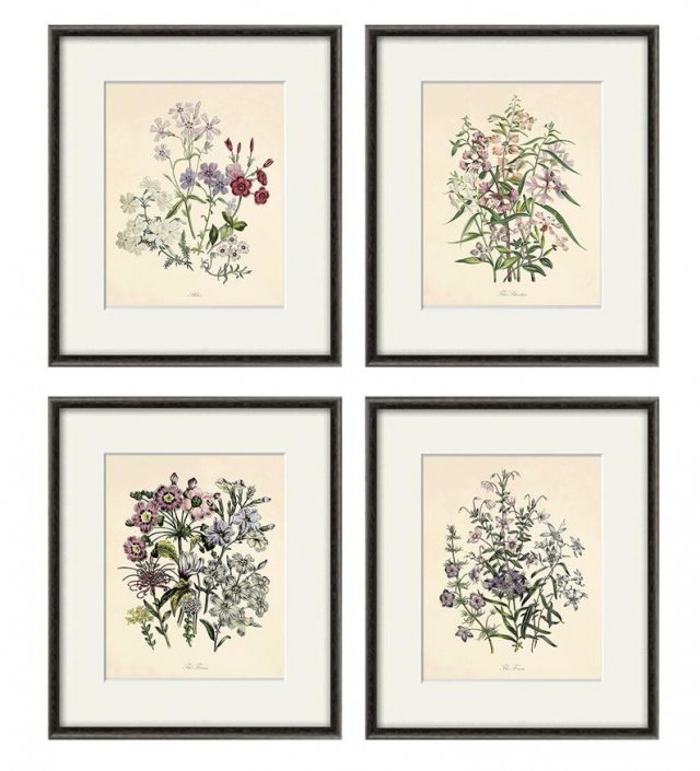Kwiaty polne plakat botaniczny  zestaw 4x A4