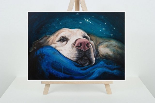 Wydruk Fine Art - Rozmarzony Labrador, A4