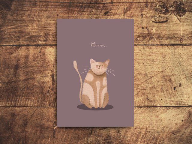 Kartka pocztowa - Kot