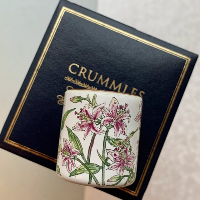 Crummles Staffordshire English Enamels - Hand printed ❀ڿڰۣ❀ Miniatura w emalii