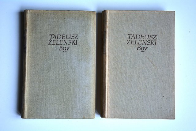 Stare książki Boy Żeleński