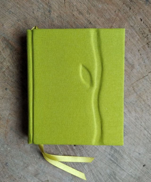 Zielony, grubiutki notesik z malowanym brzegiem