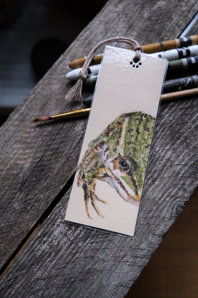 Ręcznie malowana zakładka do książki z leśną żabką