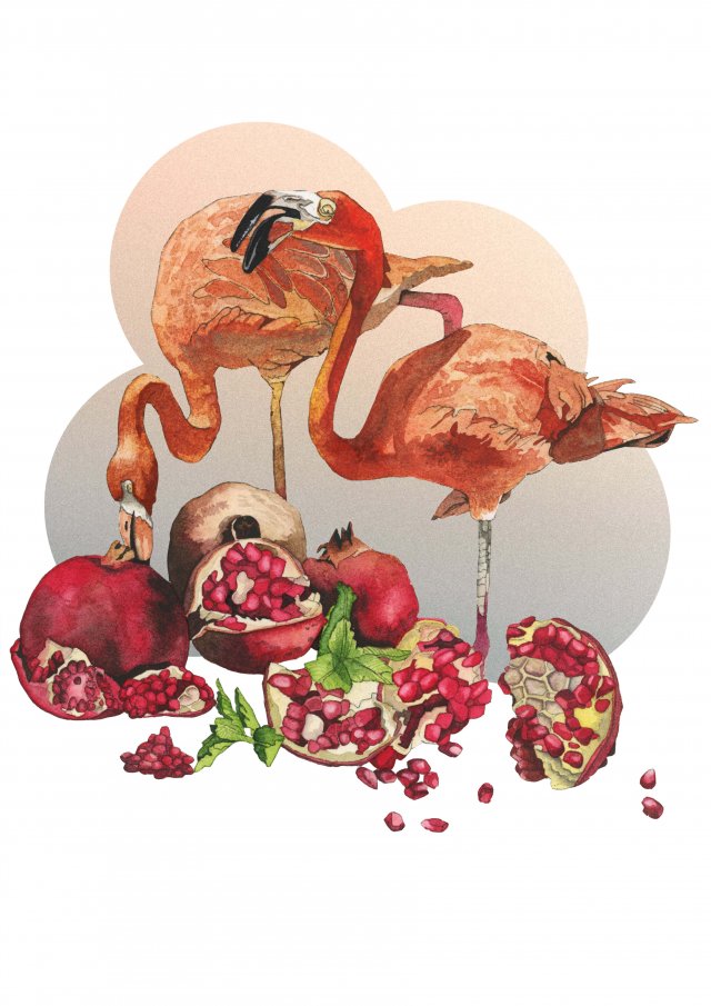 Plakat A3 "Flamingi"