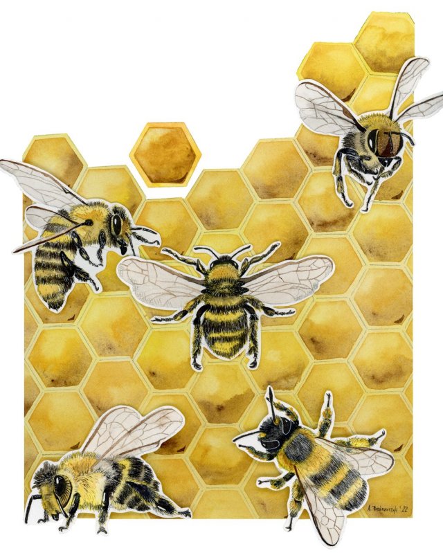 Plakat A3 "Pszczoły"