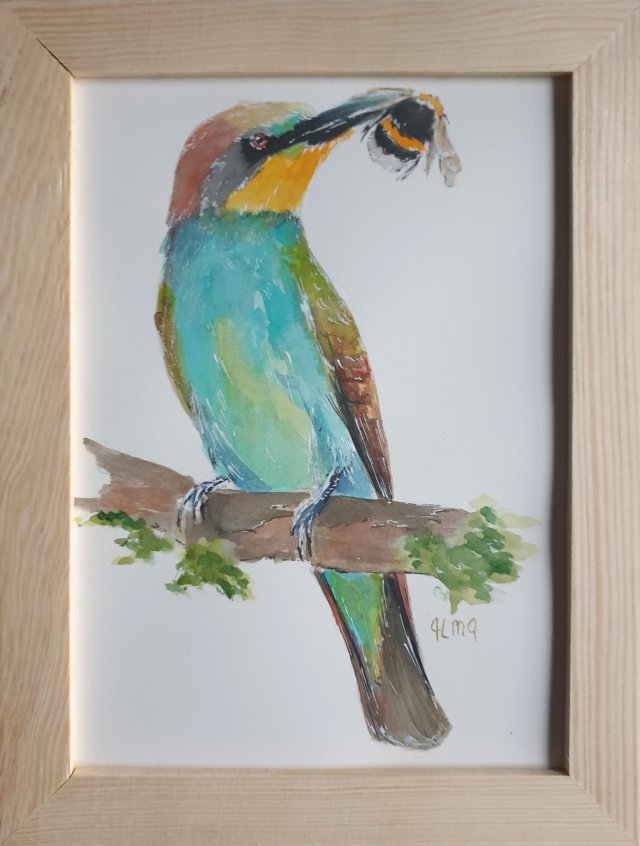Akwarela ręcznie malowana ptak żołna+ rama