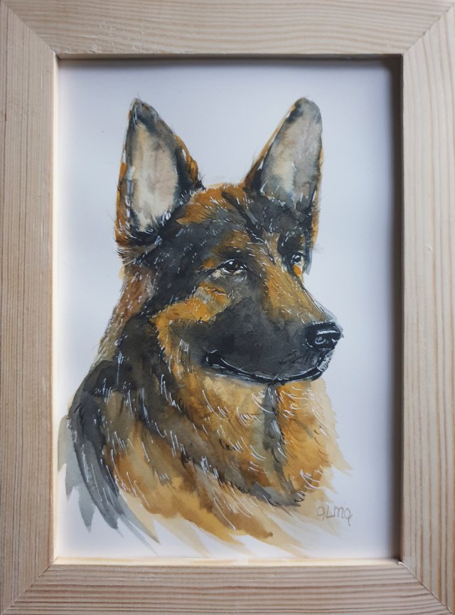Akwarela ręcznie malowana  "Owczarek" +rama pies