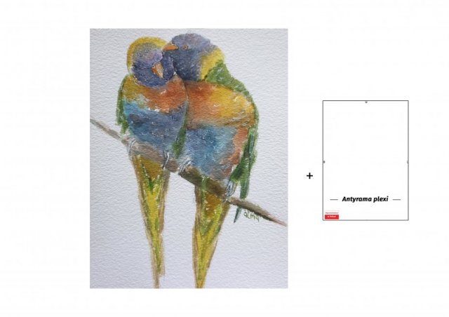 Obraz ręcznie malowany +antyrama ptaki papuga