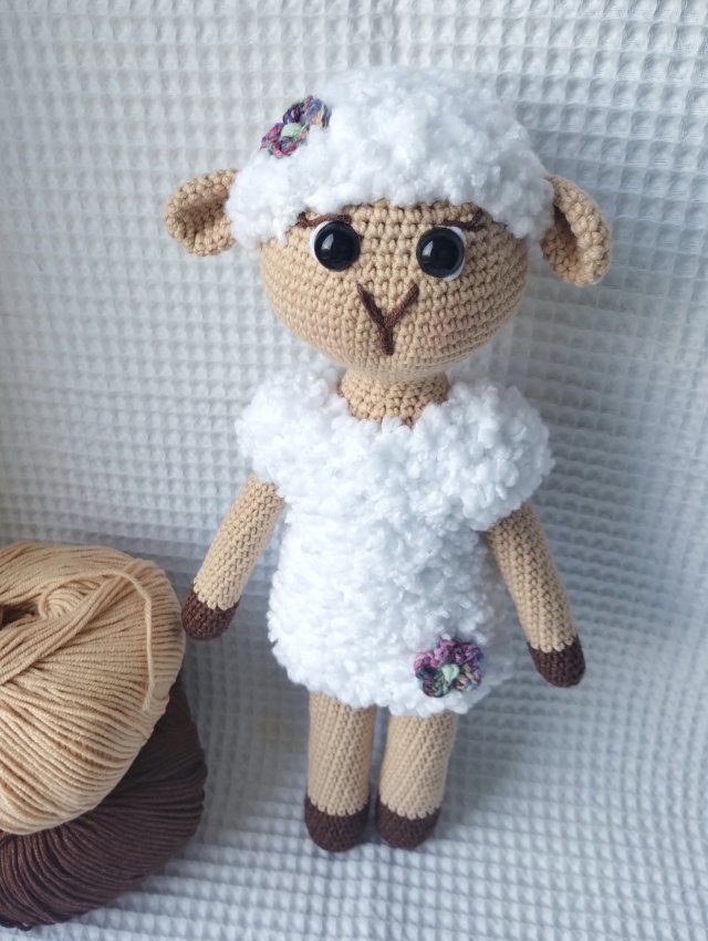 owieczka Oliwka, owca