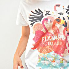 Flamingos Island