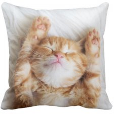 Poduszka dekoracyjna ozdobna rudy śpiący słodki kotek - KOT 6541