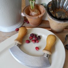 stalowy nóż do ziół