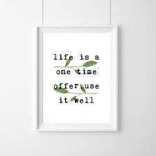 Plakat life is a one time offer,use it well - A3