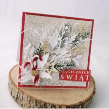 Gałązka ze śniegiem- kartka świąteczna