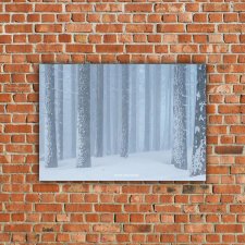 Plakat 50x70 cm FOTO - Zimowy las - grafika