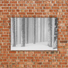 Druk na płótnie 100x70 cm - Zimowy las - grafika
