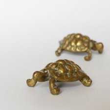 Dwa żółwie deco przycisk do papieru