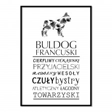 Plakat typograficzny Buldog Francuski