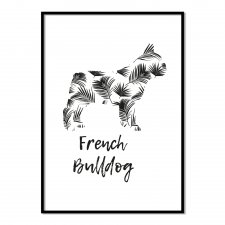 Plakat Buldog francuski Tropical