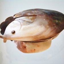 Ryba z masy perłowej