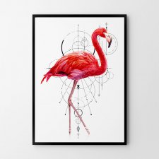 Plakat różowy Flaming 61x91 cm