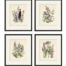 Kwiaty polne plakat botaniczny  zestaw 4x A4