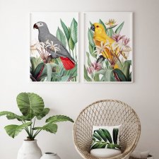 Zestaw plakatów obrazów papugi w kwiatach A4