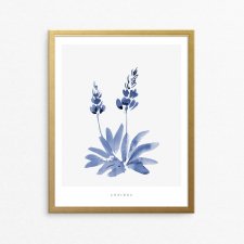 akwarelowy kwiat - Łubin - A4