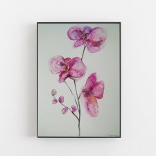 Orchidea-obraz akwarela