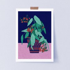 Begonia, plakat botaniczny, ilustracja A3 lub 30x40 cm