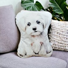 Przytulanka piesek ozdobna poduszka z pieskiem maskotka z psem poduszka do salonu dla dziecka maltańczyk