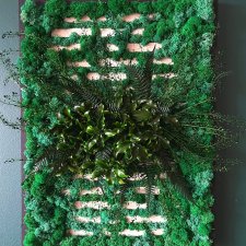 Obraz "Tryumf Natury" chrobotek i rośliny stabilizowane