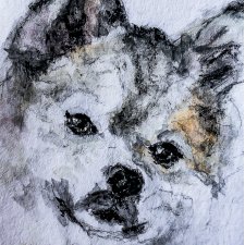 Zamów PORTRET psa, kota, bliskiej osoby - rozmiar A4 malowany ze zdjęć