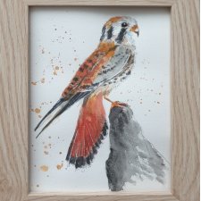 Akwarela ręcznie malowana ptak +rama
