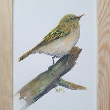 Akwarela ręcznie malowana prezenty ptak + rama