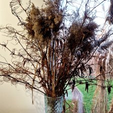 Bukiet zimowy duży 80cm z suszonych roślin trawa pampasowa